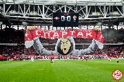 Spartak-horse (28).jpg